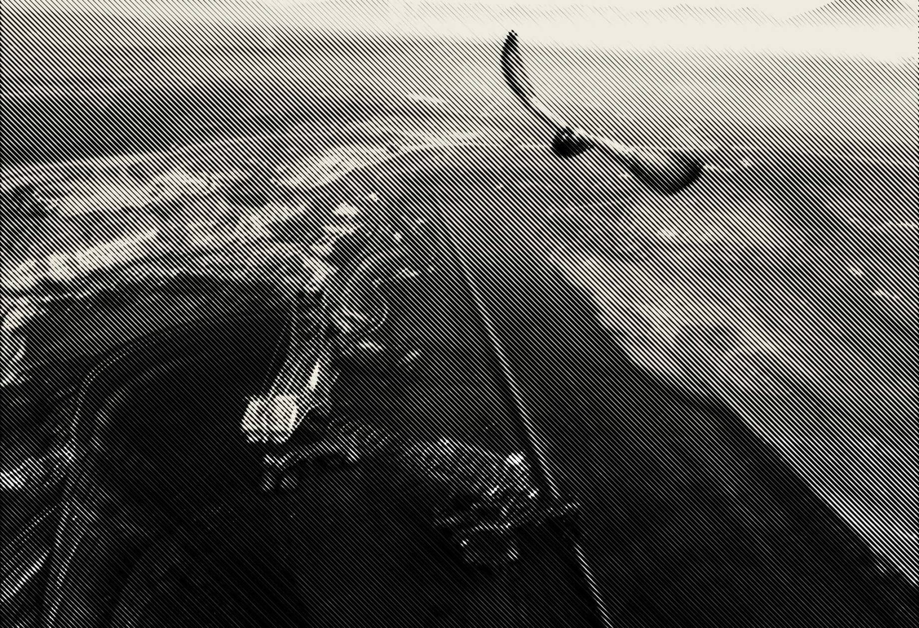 Pigeon flying over a coal mine
